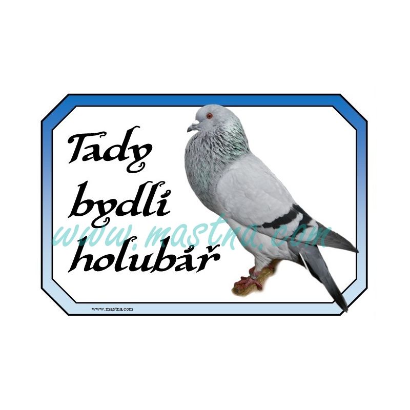 Cedulka holub moravský morák, voláč