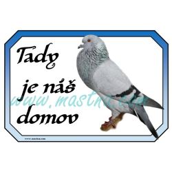 Cedulka holub moravský morák, voláč, domov