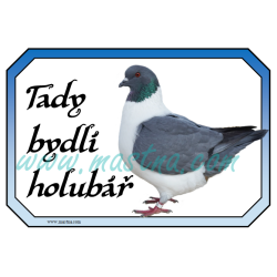 Cedulka holub moravský pštros modrý 2
