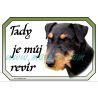 Cedulka  jagdteriér - německý lovecký teriér hrubosrstý