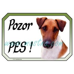 Cedulka foxteriér hladkosrstý pozor