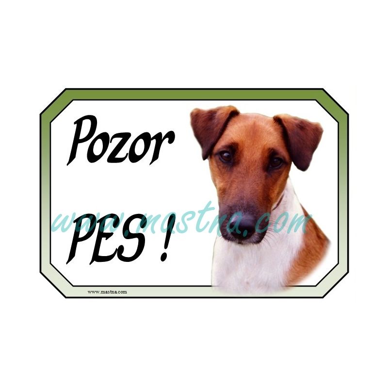 Cedulka foxteriér hladkosrstý pozor