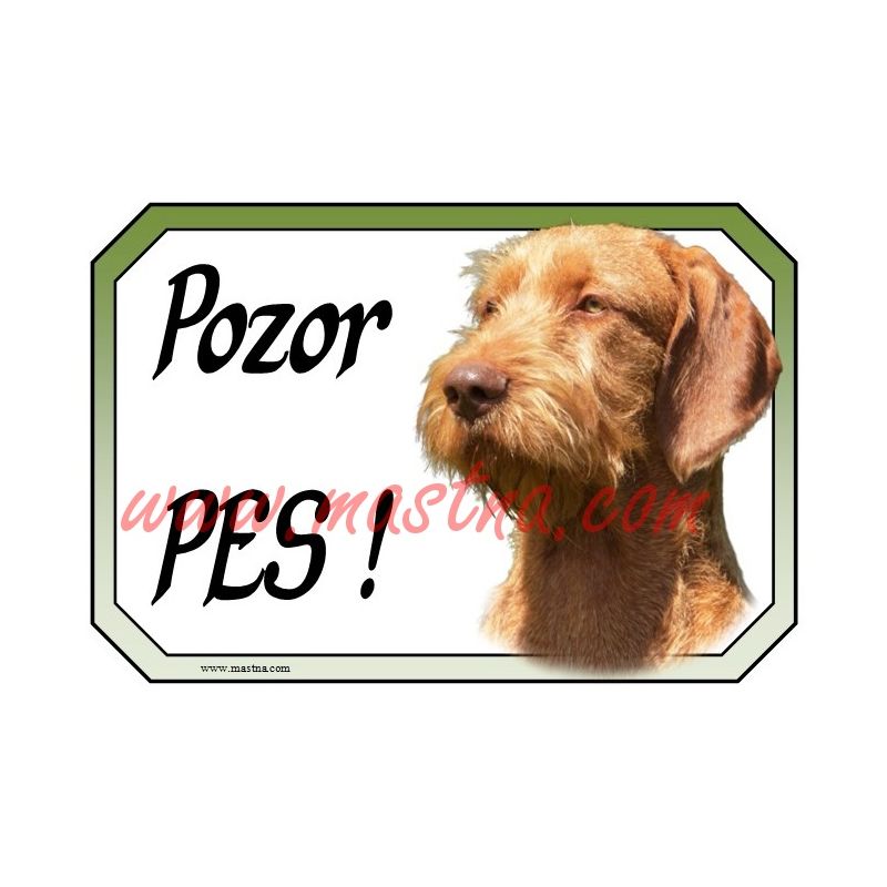 Maďarský ohař drsnosrstý cedulka pozor