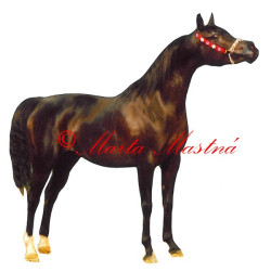 Samolepka kůň arabský plnokrevník