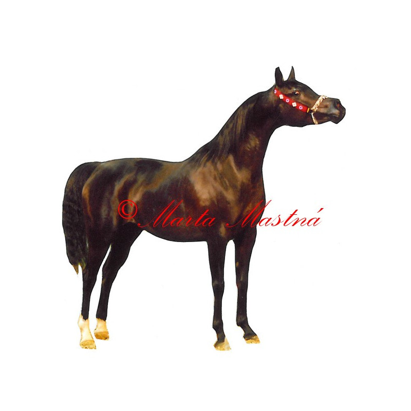Samolepka kůň arabský plnokrevník