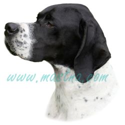 Pointr, pointer samolepka oboustranná 562