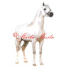 Samolepka kůň arabský plnokrevník
