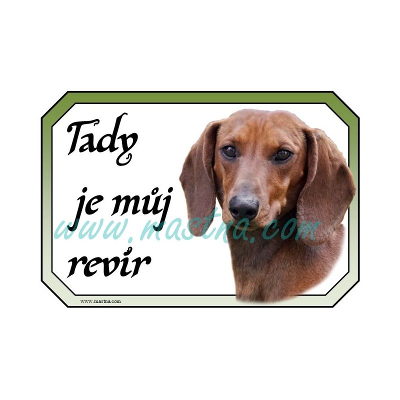 Jezevčík hladkosrstý cedulka revír