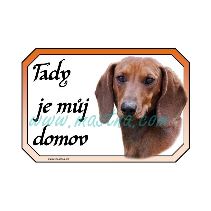 Jezevčík hladkosrstý cedulka domov