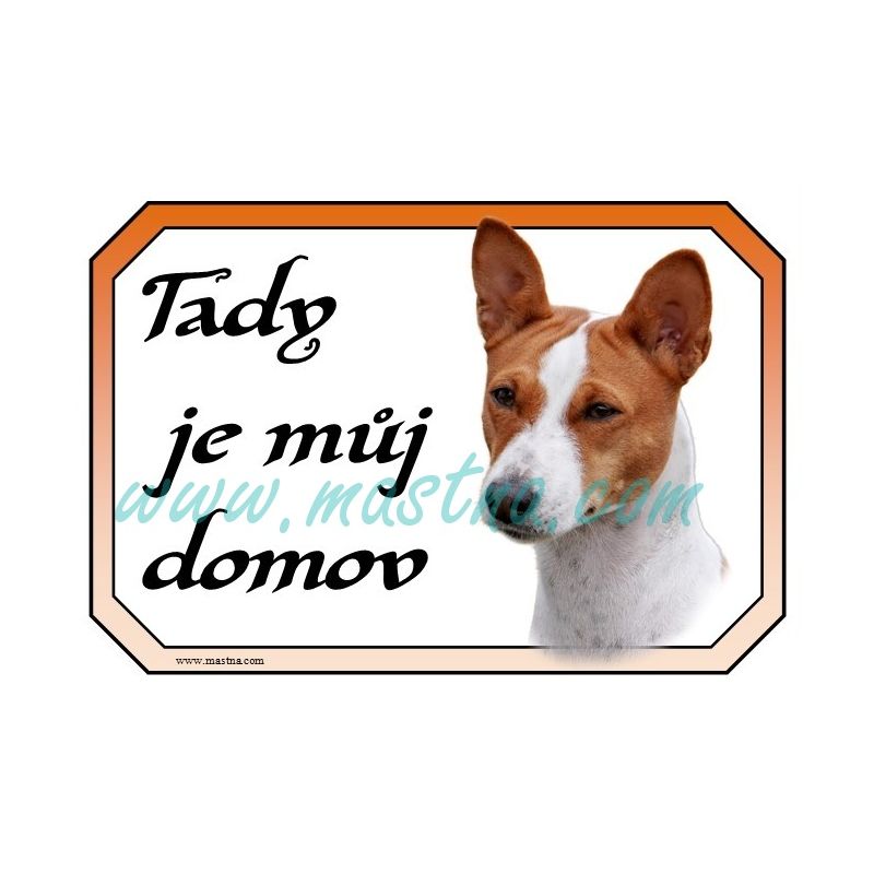Basenji, basenži cedulka domov