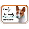 Basenji, basenži cedulka domov