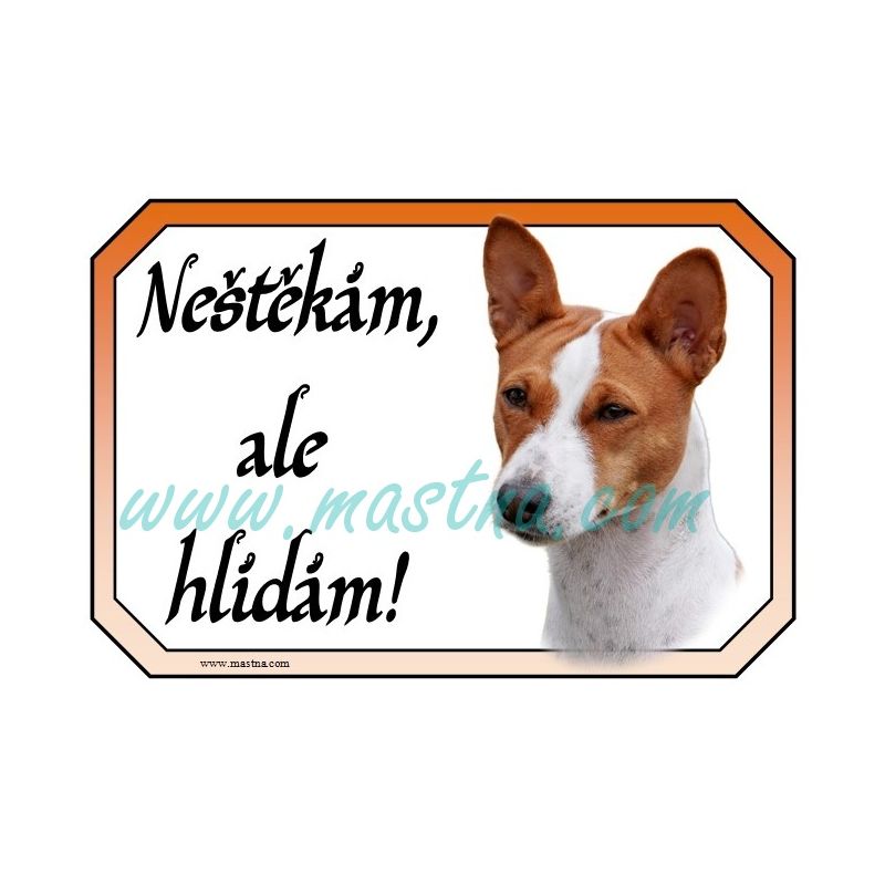Basenji, basenži cedulka hlídám