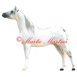 Samolepka kůň arabský plnokrevník