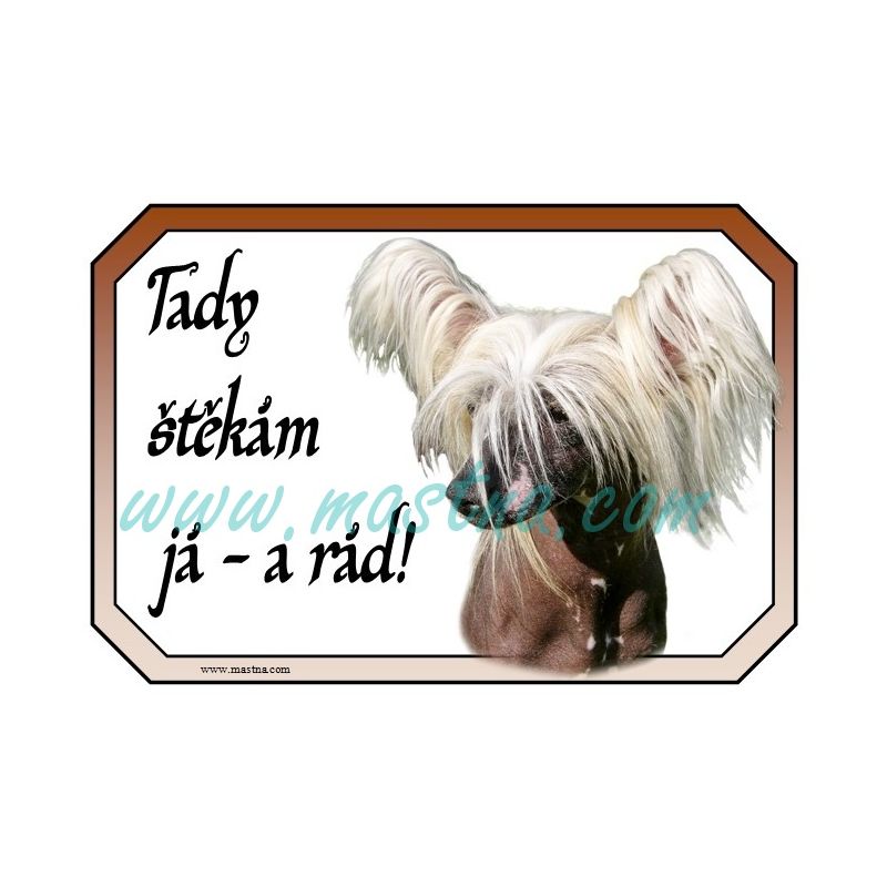Cedulka čínský chocholatý pes, naháč