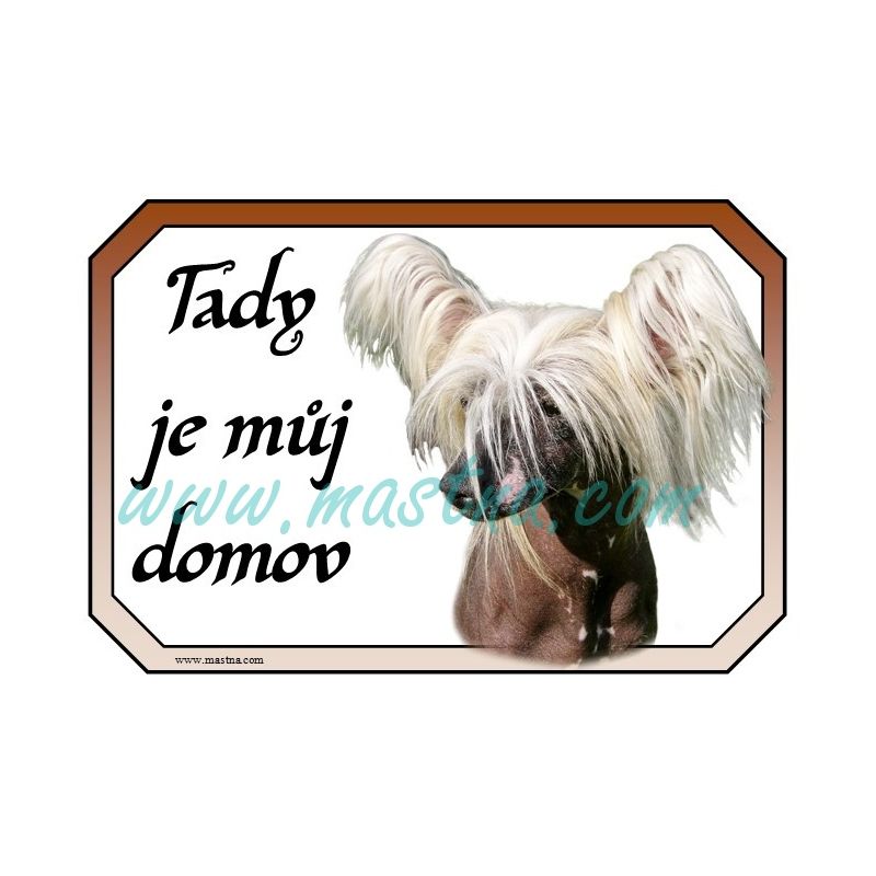 Čínský chocholatý pes, naháč, cedulka domov