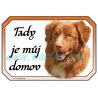 Kanadský retrívr, toller, Nova Scotia duck tolling , cedulka domov