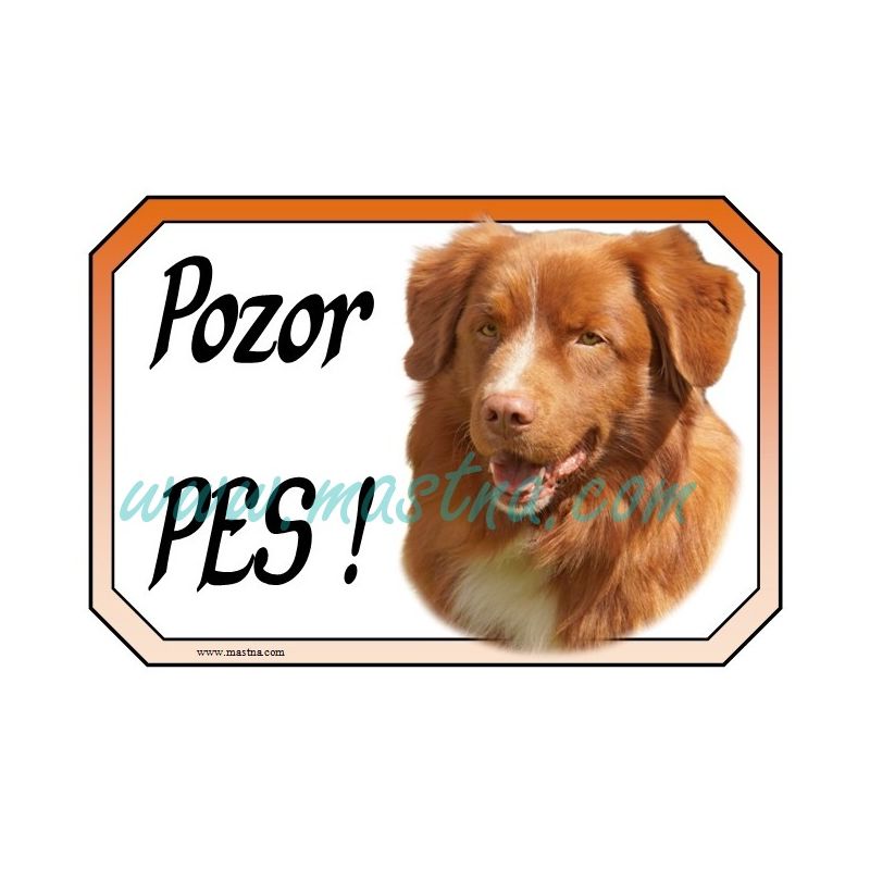 Kanadský retrívr, toller, Nova Scotia duck tolling , cedulka pozor