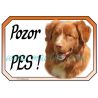 Kanadský retrívr, toller, Nova Scotia duck tolling , cedulka pozor