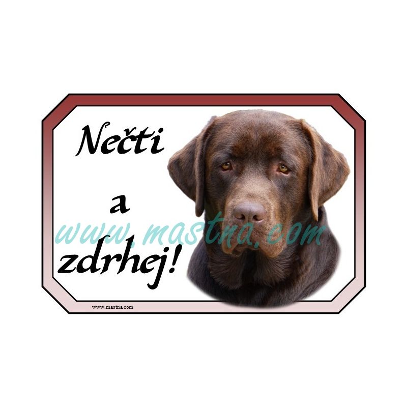Labradorský retrívr hnědý, cedulka zdrhej