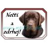 Labradorský retrívr hnědý, cedulka zdrhej