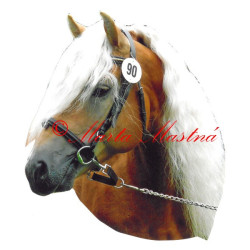 Samolepka kůň hafling Aquavit