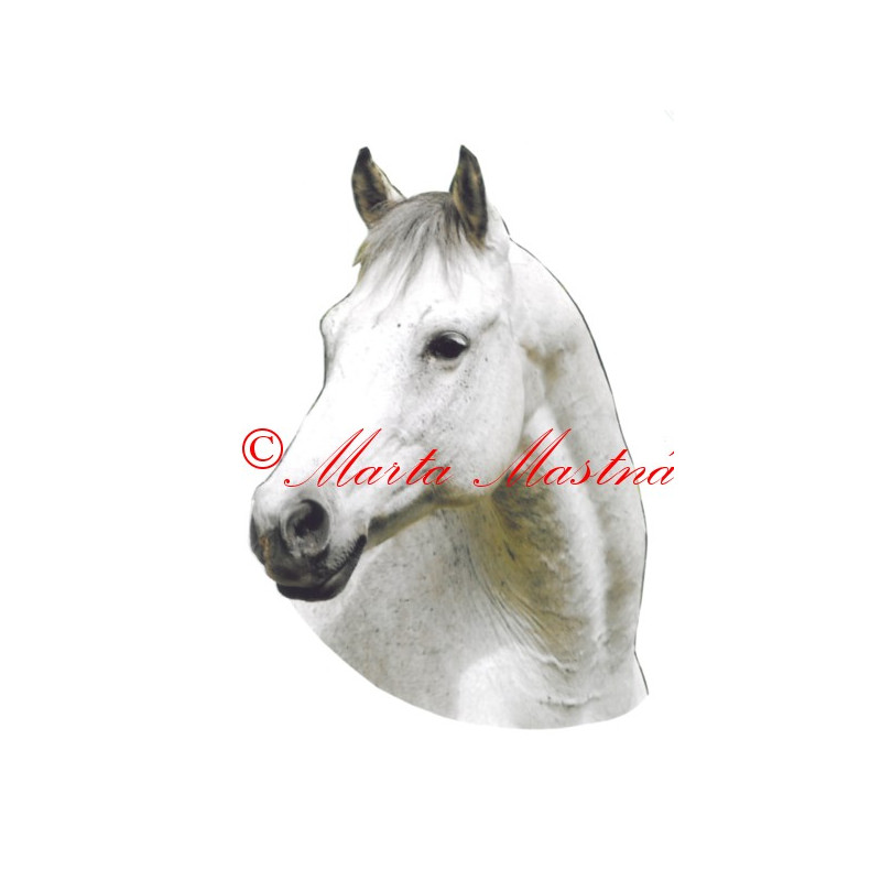 Samolepka kůň  bělouš Jack
