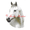 Samolepka kůň  bělouš Jack