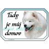 Samojed, cedulka domov