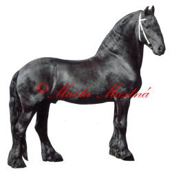 Samolepka kůň  fríský Jelle van Lindenhoff