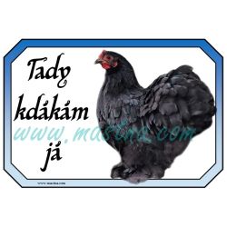 Kočinka černá, drůbež, cedulka kdákám