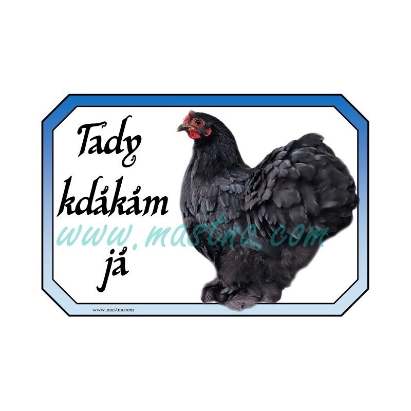 Kočinka černá, drůbež, cedulka kdákám