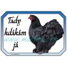 Kočinka černá, drůbež, cedulka kdákám