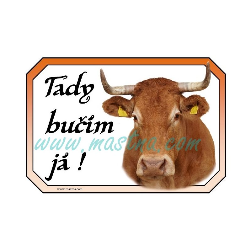 Limousine kráva rohatá, skot, dobytek, cedulka bučím