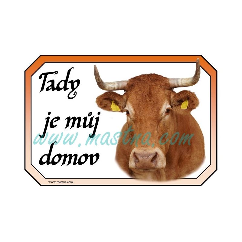 Limousine kráva rohatá, skot, dobytek, cedulka domov