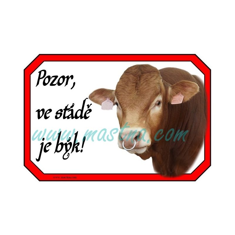 Limousine býk, skot, dobytek, cedulka stádo