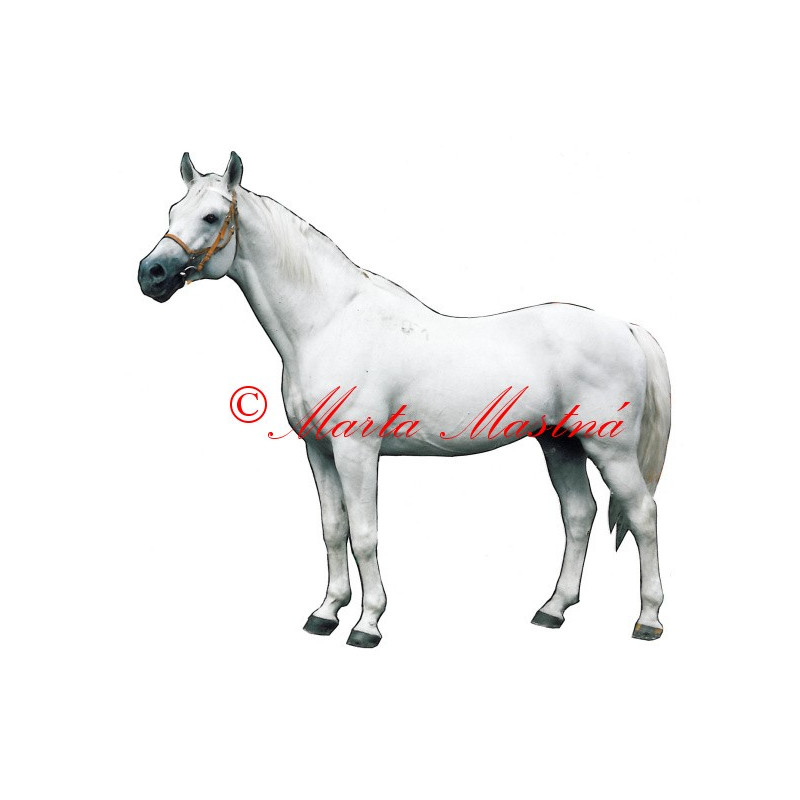 Samolepka kůň bělouš