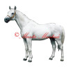 Samolepka kůň bělouš