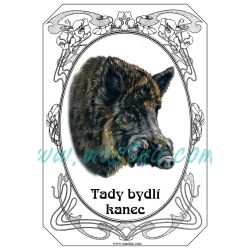 Kanec, divočák, myslivost, cedulka žertovná