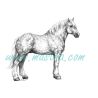 Percheron celý, samolepka koně C 669