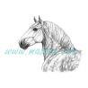 Percheron hlava, samolepka koně C 668
