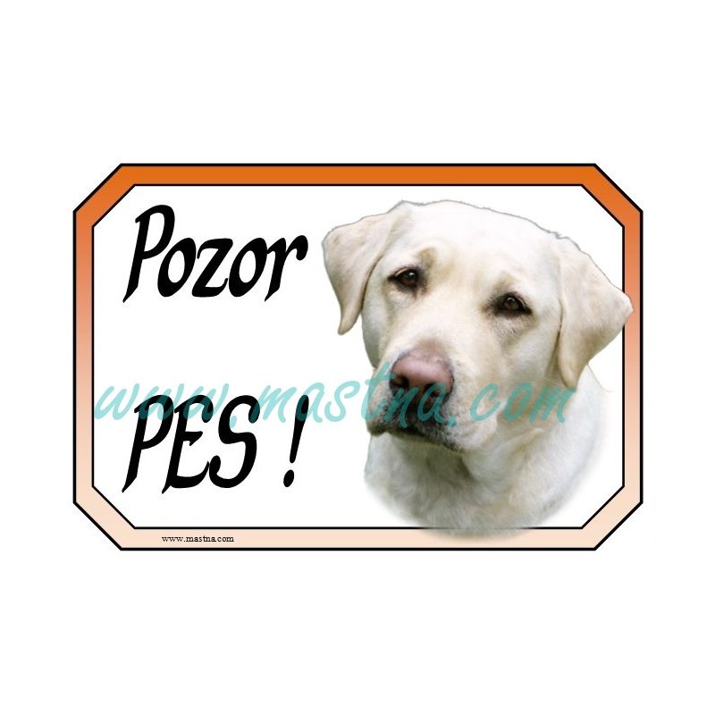 Cedulka labrador retrívr světlý