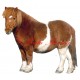 Samolepka kůň shetland pony