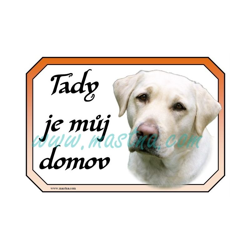 Cedulka labrador retrívr světlý 2