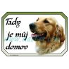 Cedulka zlatý retrívr, golden profil