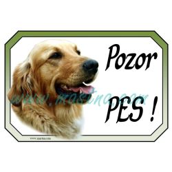 Cedulka zlatý retrívr, golden profil 2