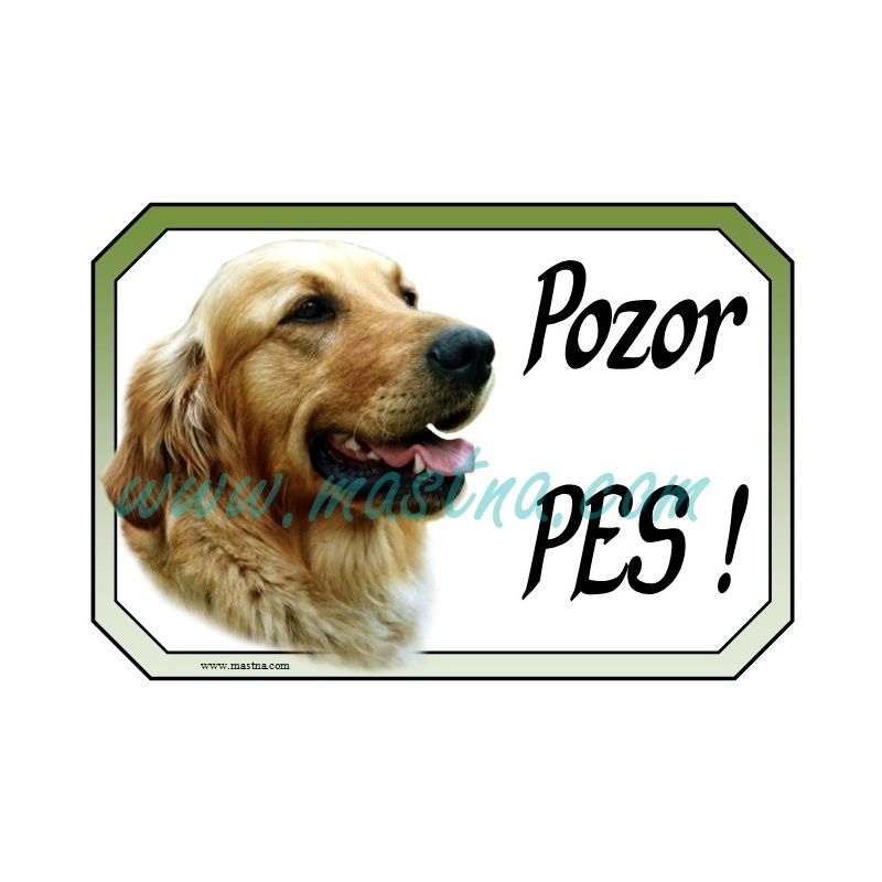 Cedulka zlatý retrívr, golden profil 2