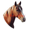 Samolepka kůň ryzák Gaston