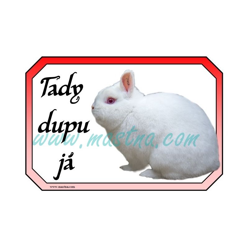 Cedulka králík hermelín červenooký