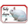 Cedulka králík hermelín červenooký