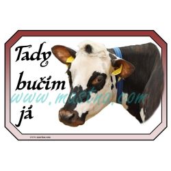 Kráva normandská, normandský skot, dobytek, cedulka bučím